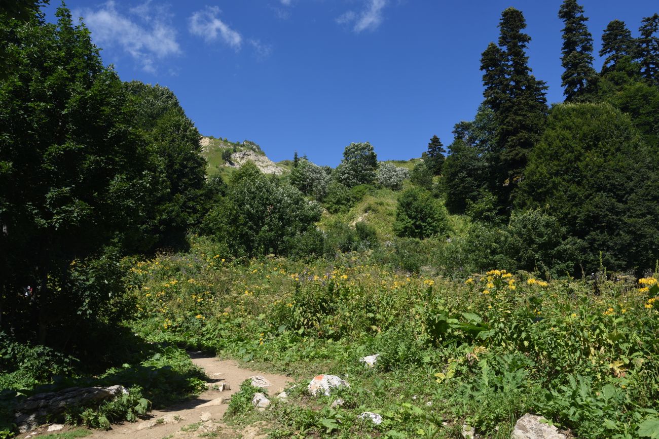 Окрестности кордона Узуруб, image of landscape/habitat.