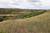 Image of landscape