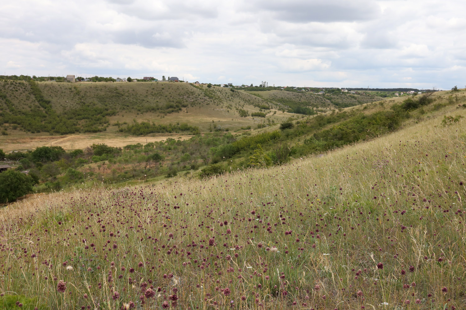 Долина реки Чуюнчи, image of landscape/habitat.