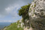 Image of landscape