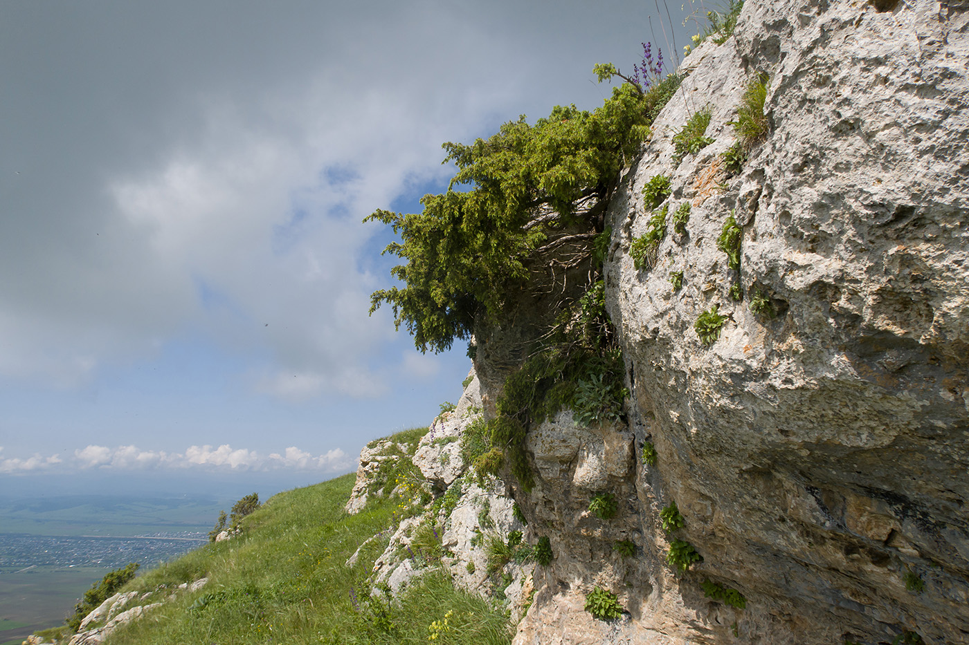 Джангур, image of landscape/habitat.
