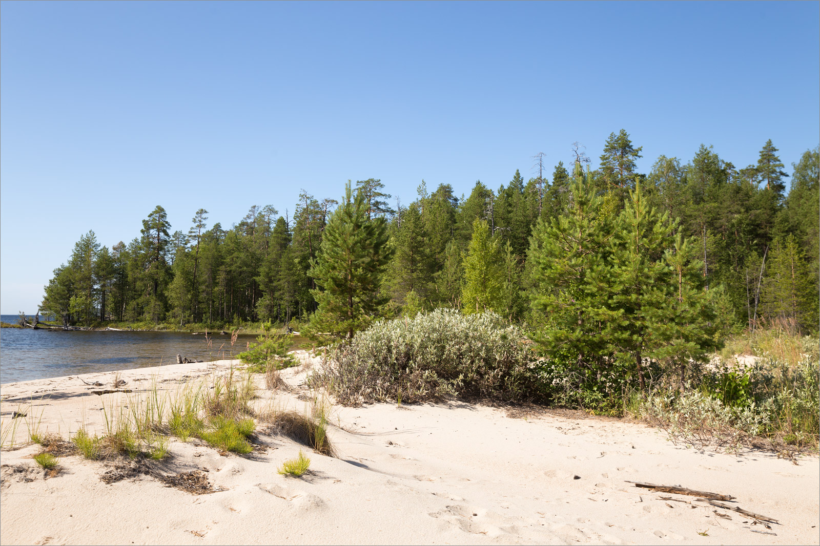 Топозеро, image of landscape/habitat.