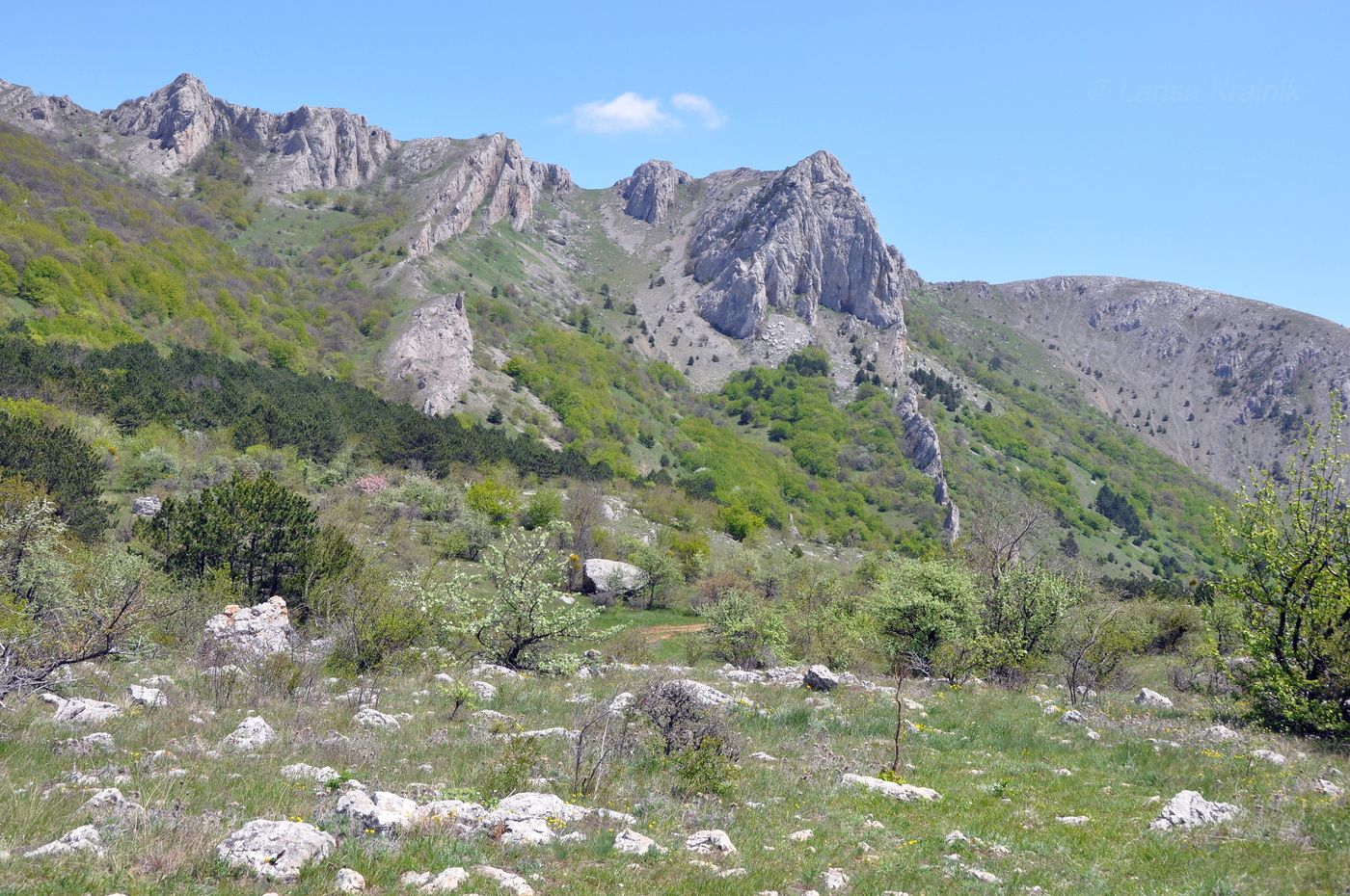 Урочище Чигенитра, изображение ландшафта.