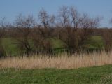 Image of landscape