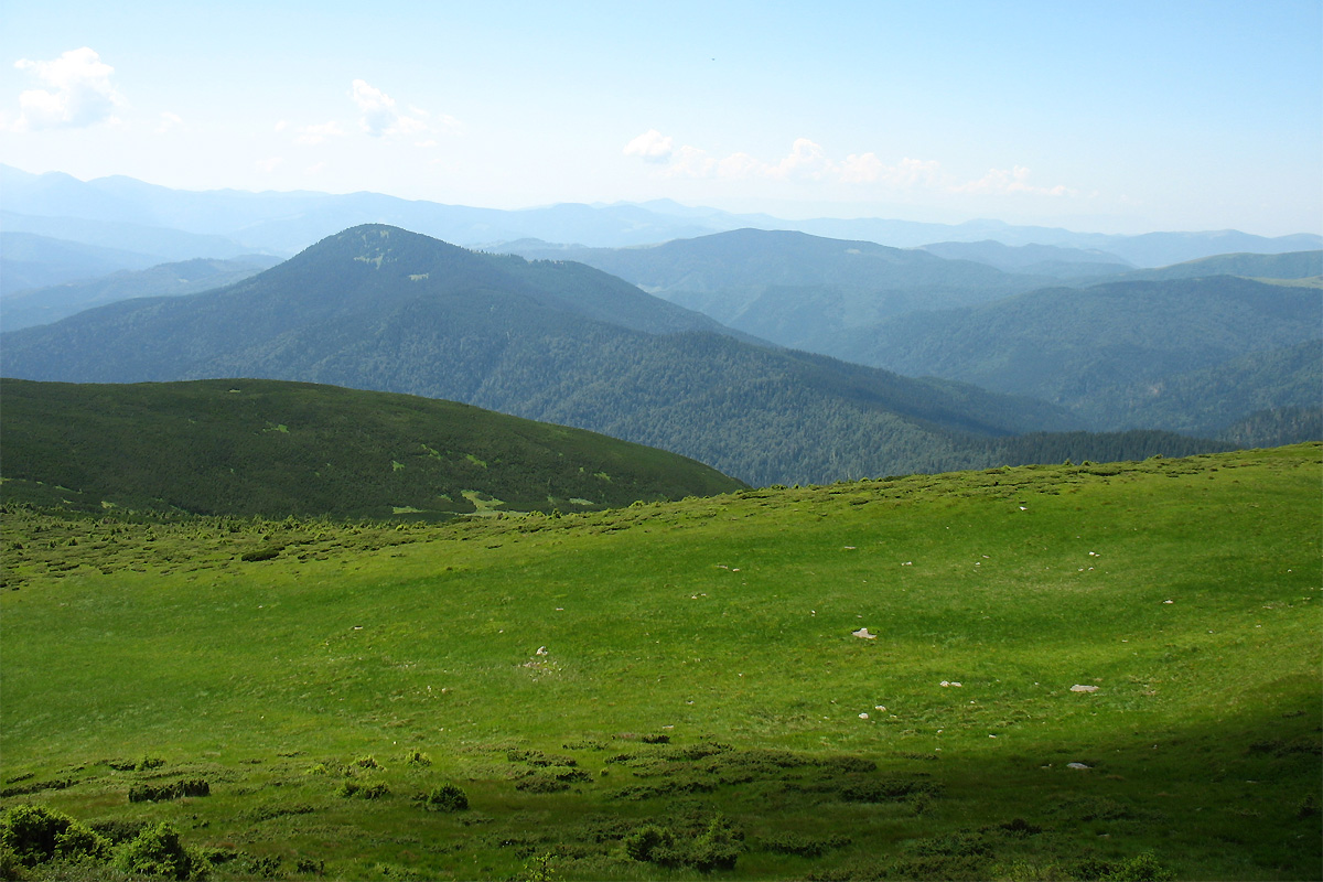 Высокогорья Черногоры, image of landscape/habitat.