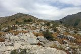 Image of landscape