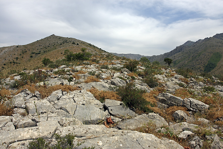 Гора Нурбай, image of landscape/habitat.