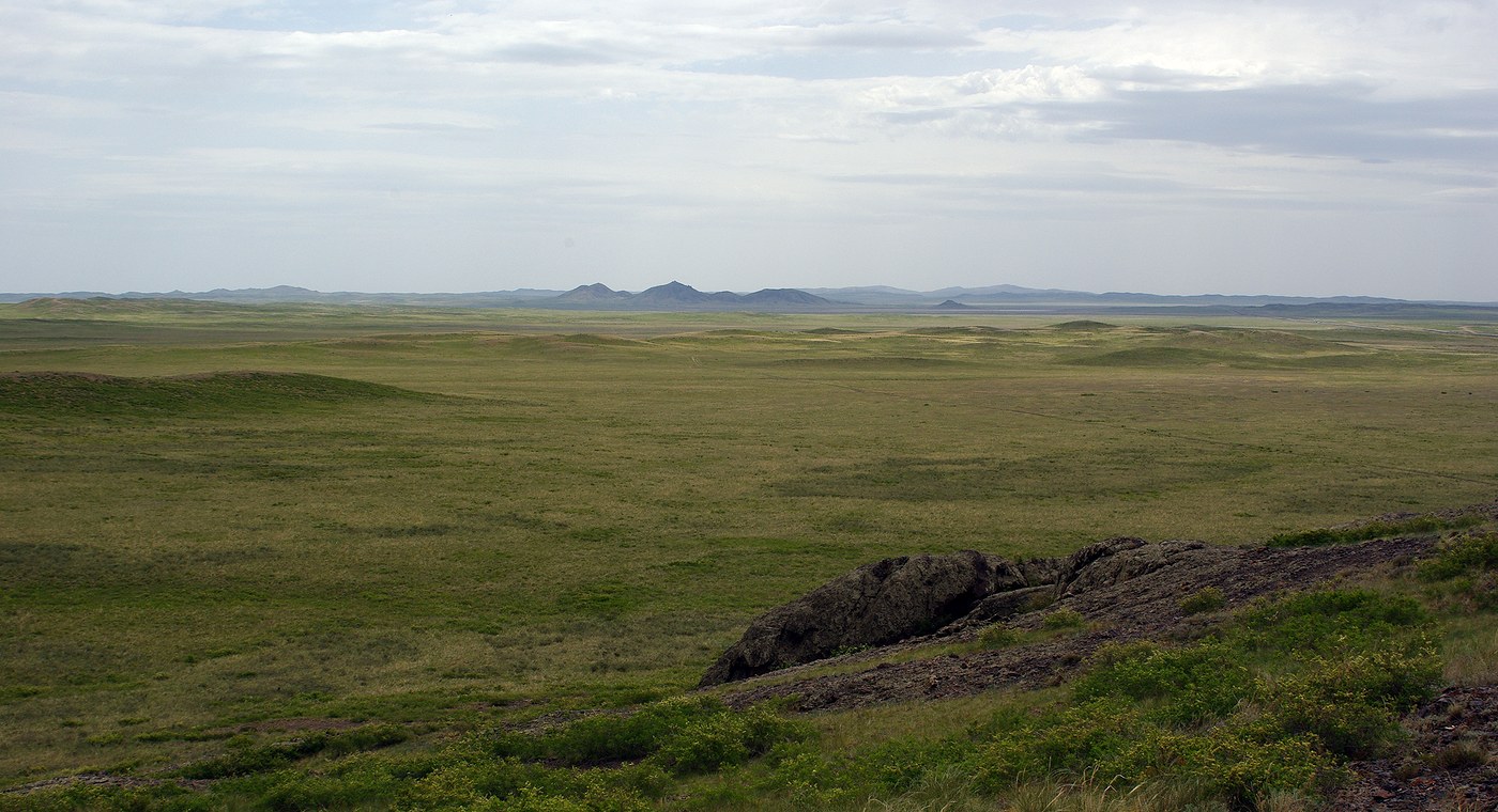 Мелкосопочник, image of landscape/habitat.