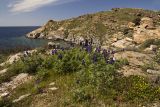 Image of landscape