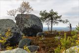 Воттоваара, image of landscape/habitat.