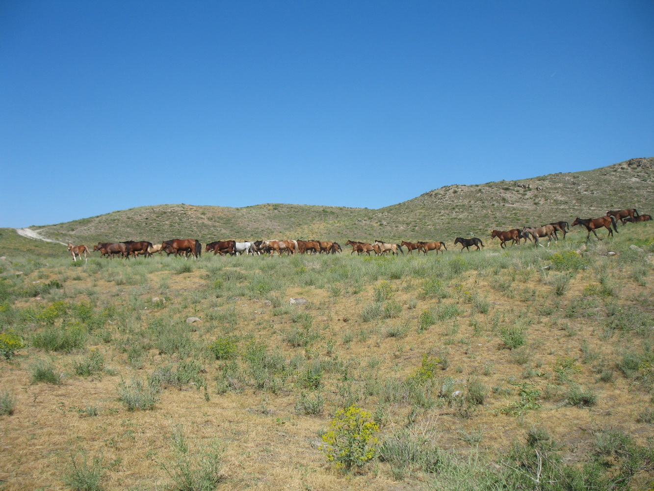 Улькунбурултау (север), image of landscape/habitat.