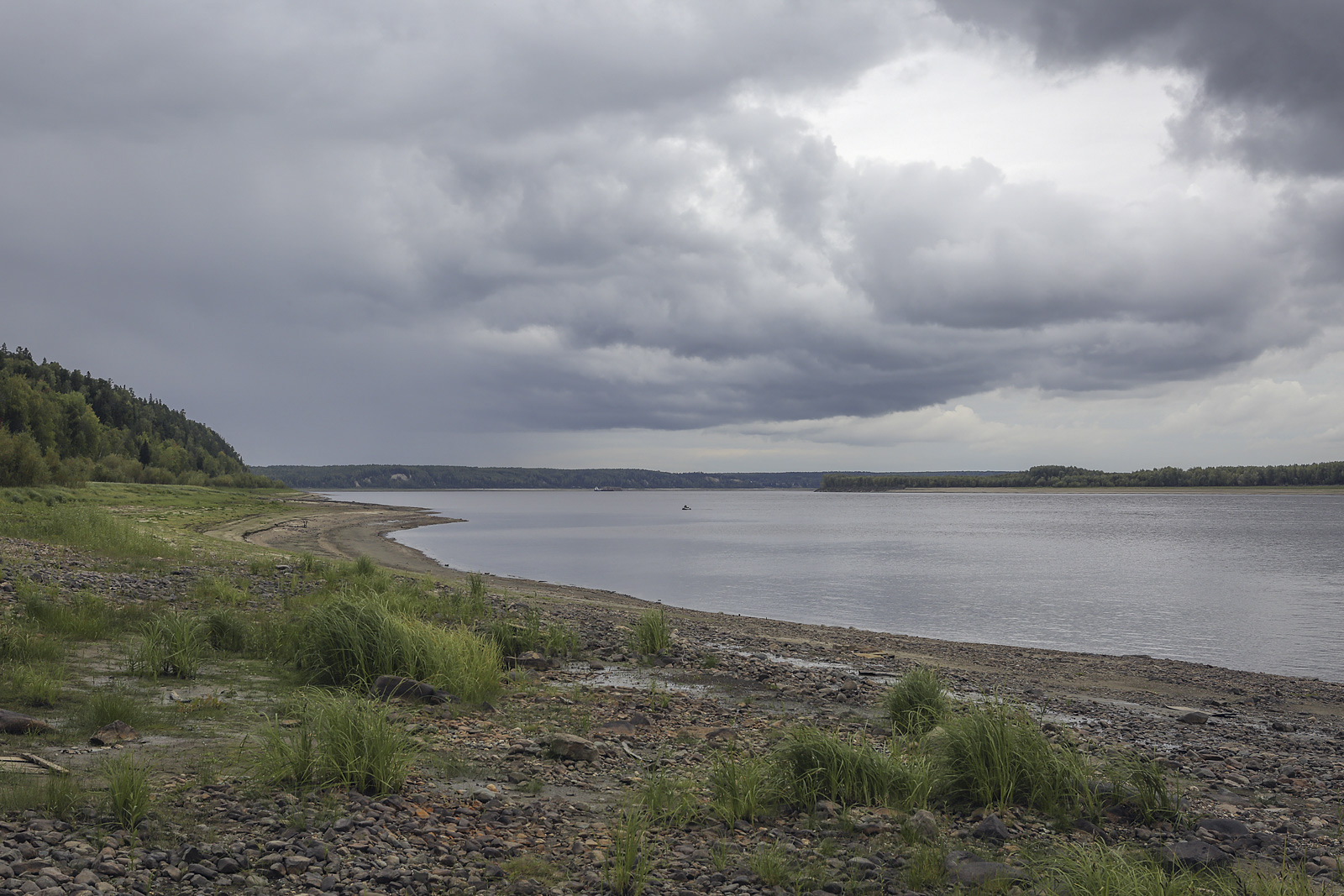 Окрестности Горнореченска, image of landscape/habitat.