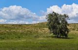 Губерлинские горы, image of landscape/habitat.