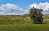 Image of landscape