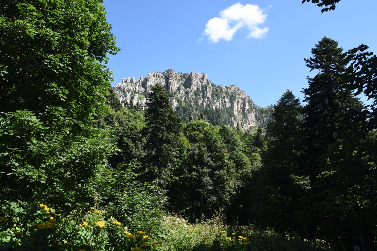 Окрестности кордона Узуруб, image of landscape/habitat.