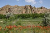 Мост через Аракс, image of landscape/habitat.