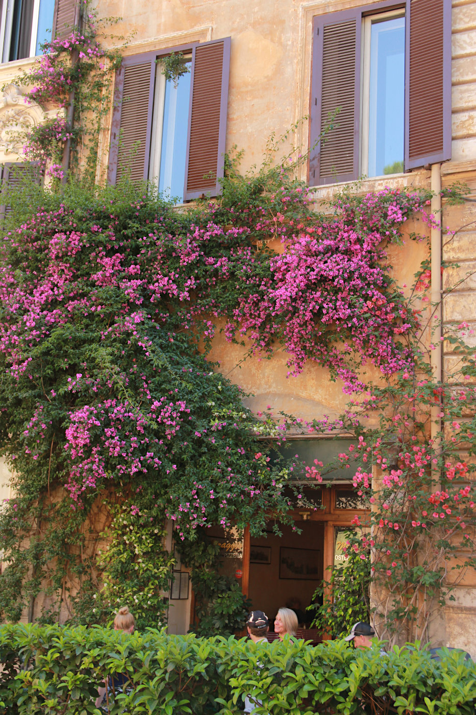 Рим, image of landscape/habitat.