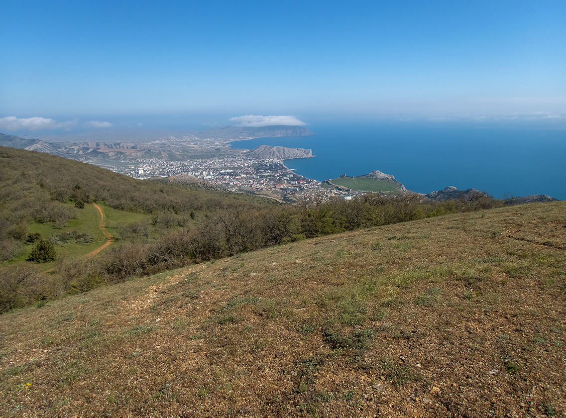 Перчем, image of landscape/habitat.