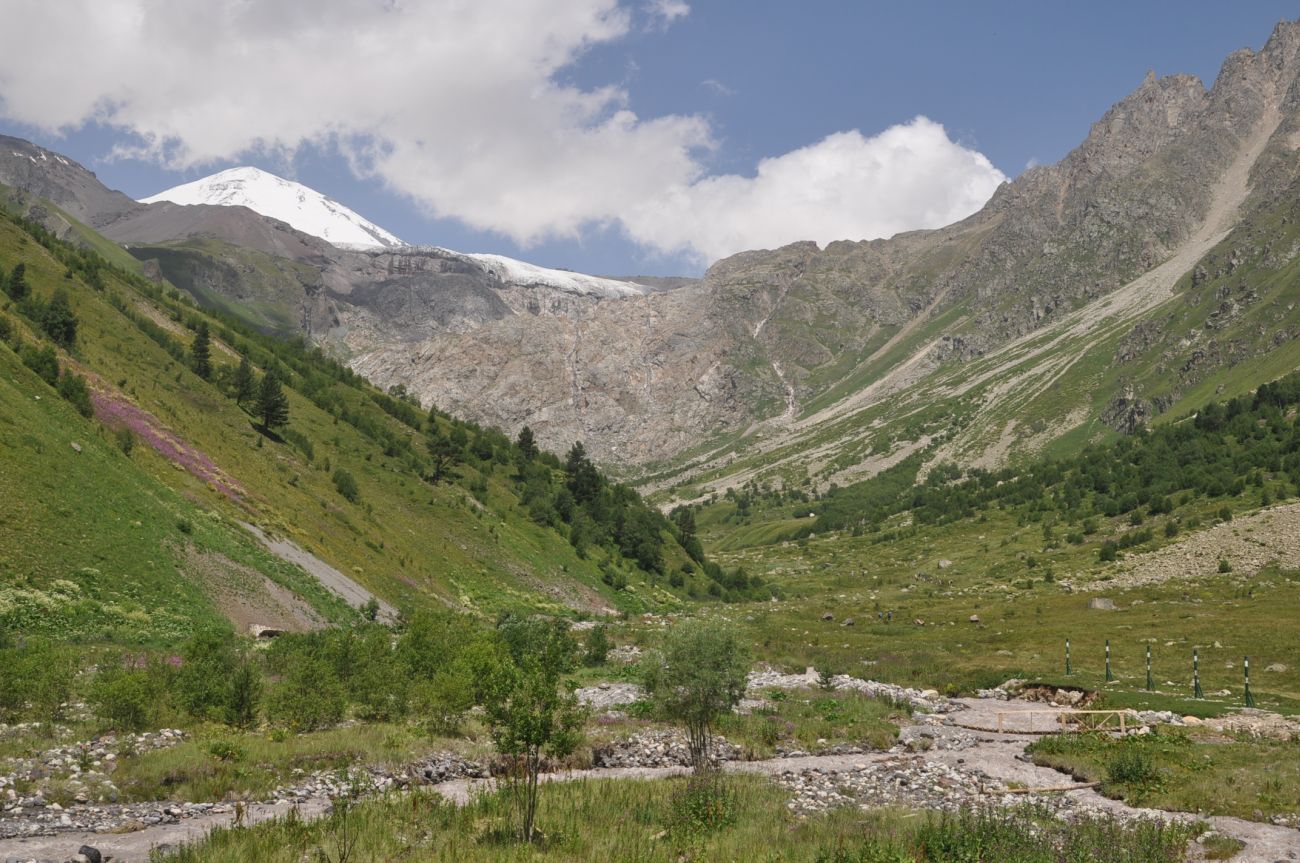 Долина реки Терскол, image of landscape/habitat.