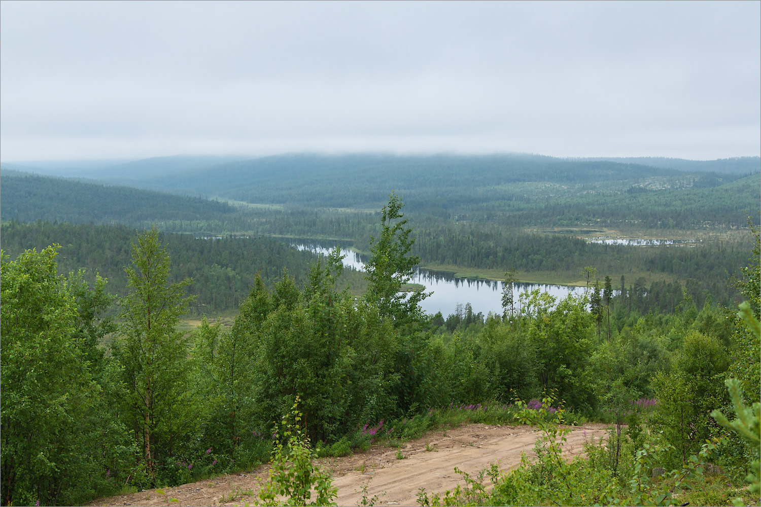 Коалланйоки, image of landscape/habitat.