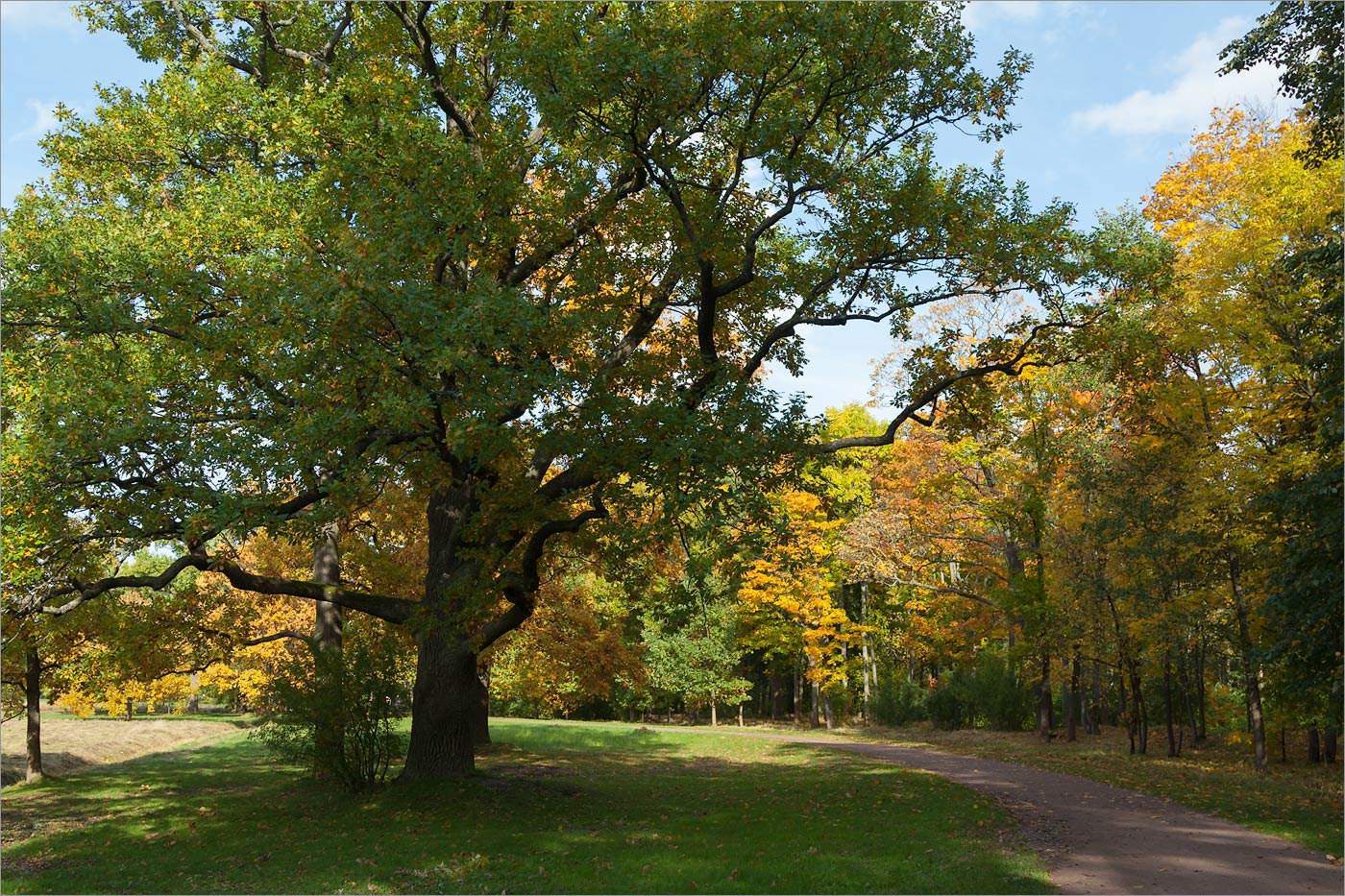 Парк "Александрия", image of landscape/habitat.