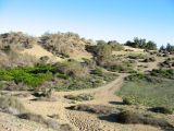 Дюны Маспаломаса, image of landscape/habitat.