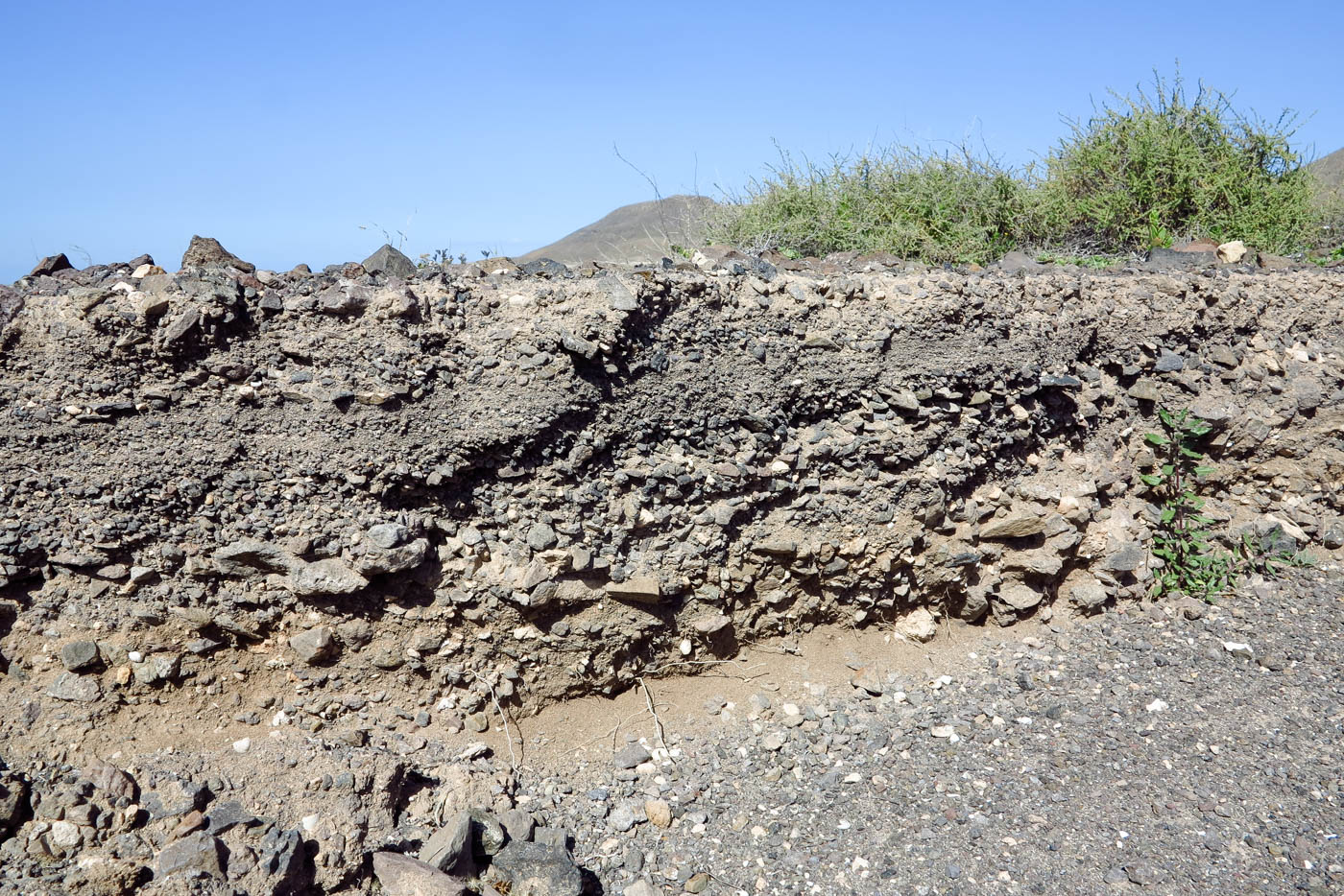 Эль Котильо и окрестности, image of landscape/habitat.