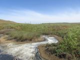 Караларская степь, image of landscape/habitat.