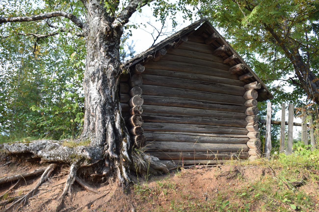 Окрестности деревни Тодино, image of landscape/habitat.
