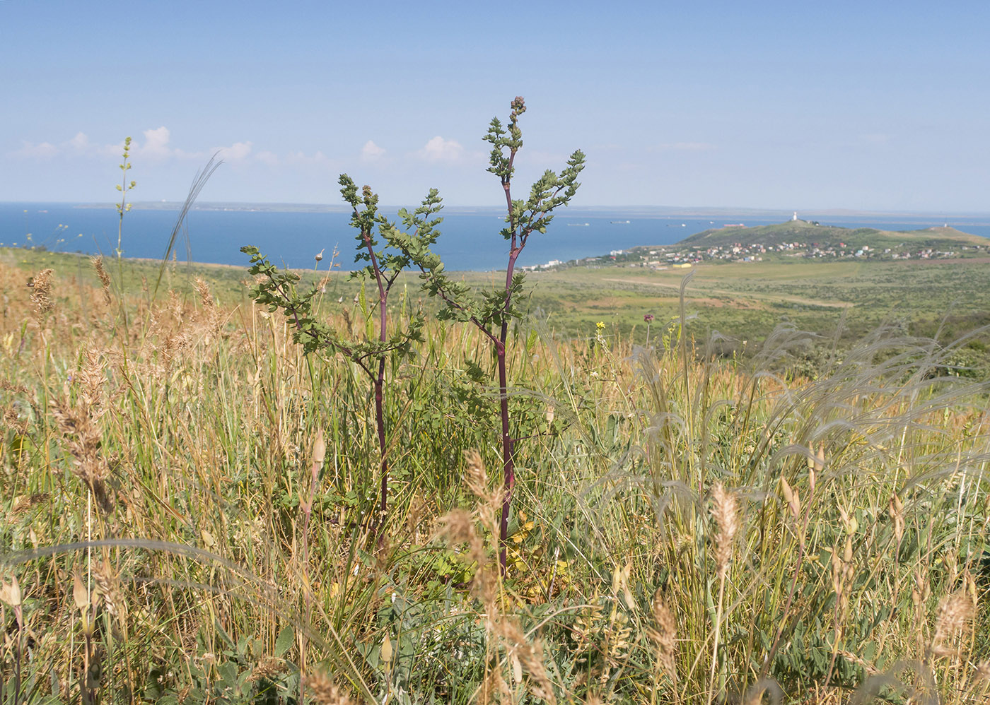Каменоломня на Хрони, image of landscape/habitat.