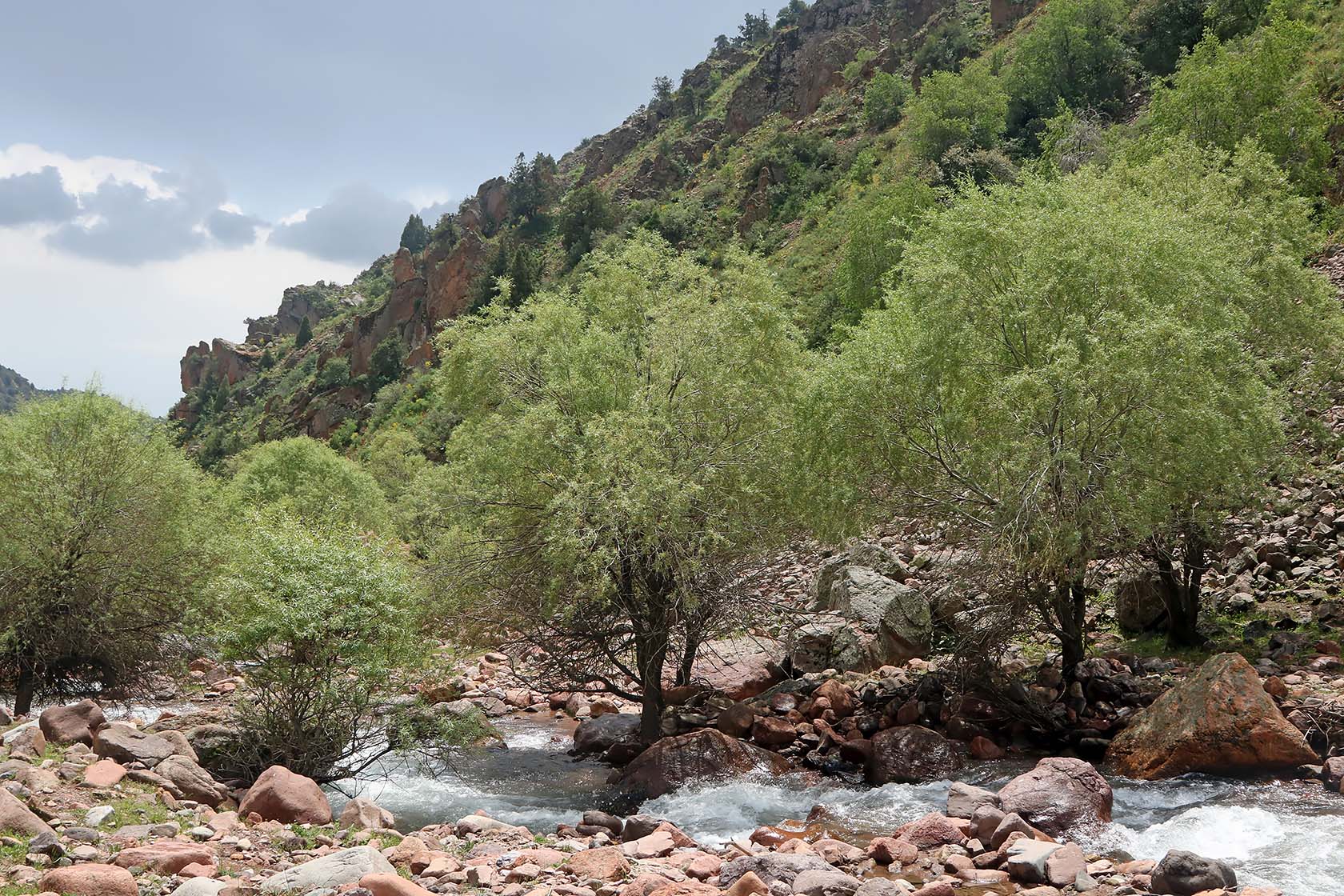 Окрестности города Янгиабад, image of landscape/habitat.