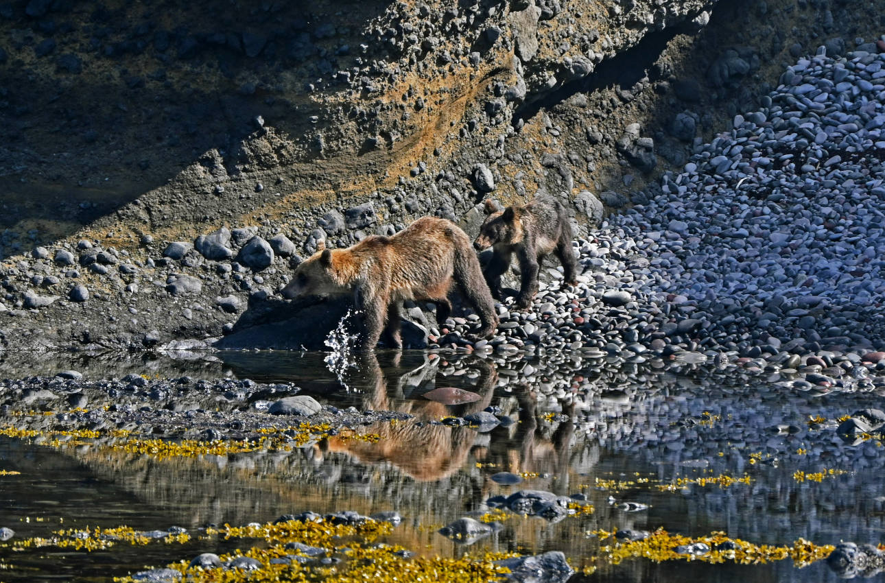 Водопадная, image of landscape/habitat.