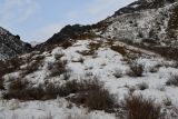 Image of landscape