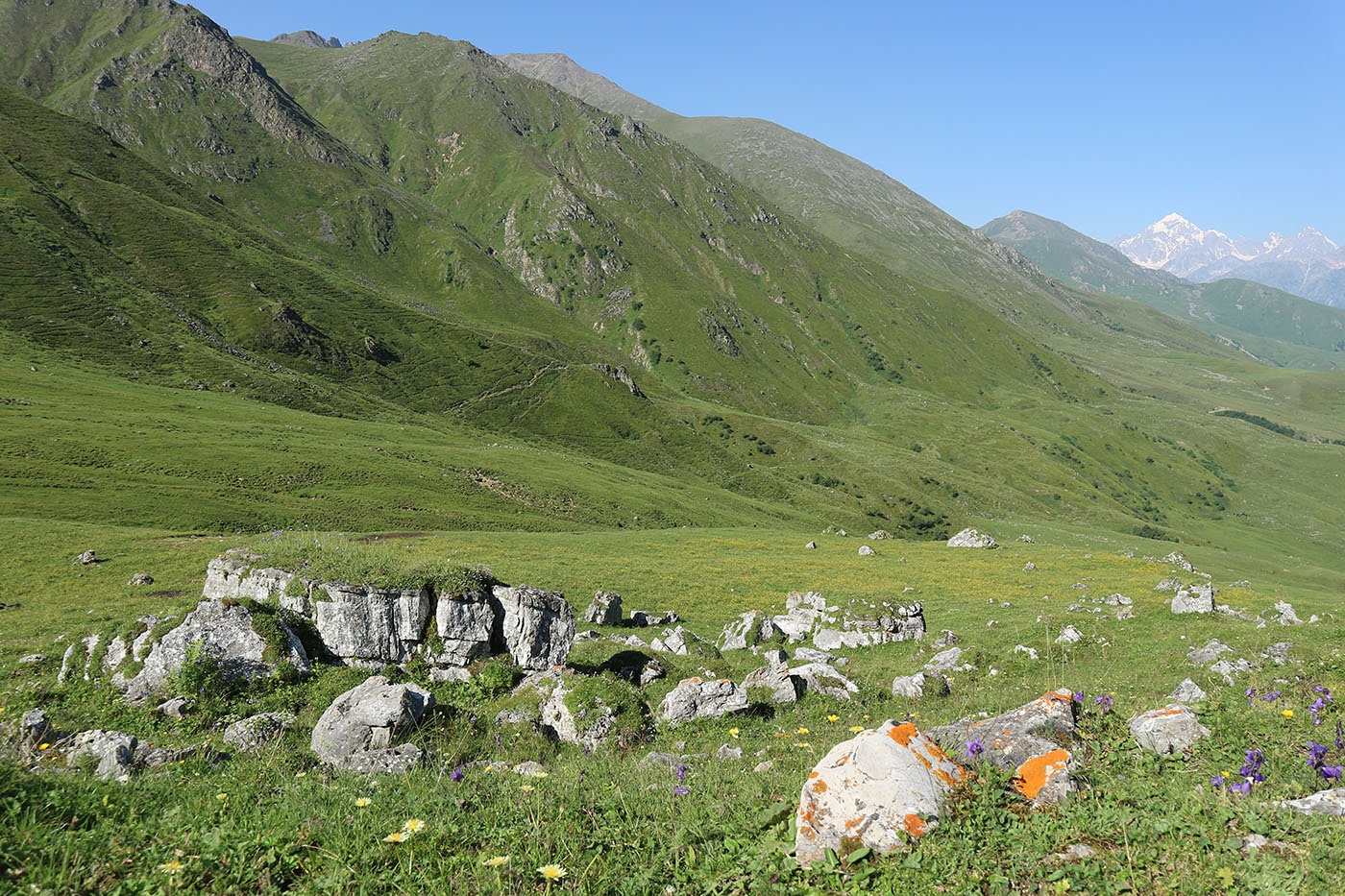 Хазнибаши, image of landscape/habitat.