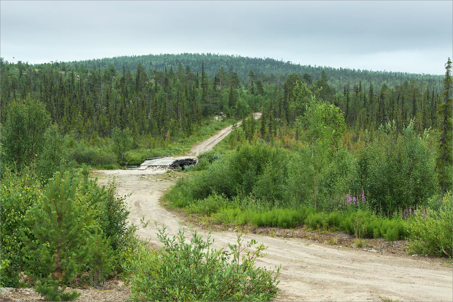 Коалланйоки, image of landscape/habitat.