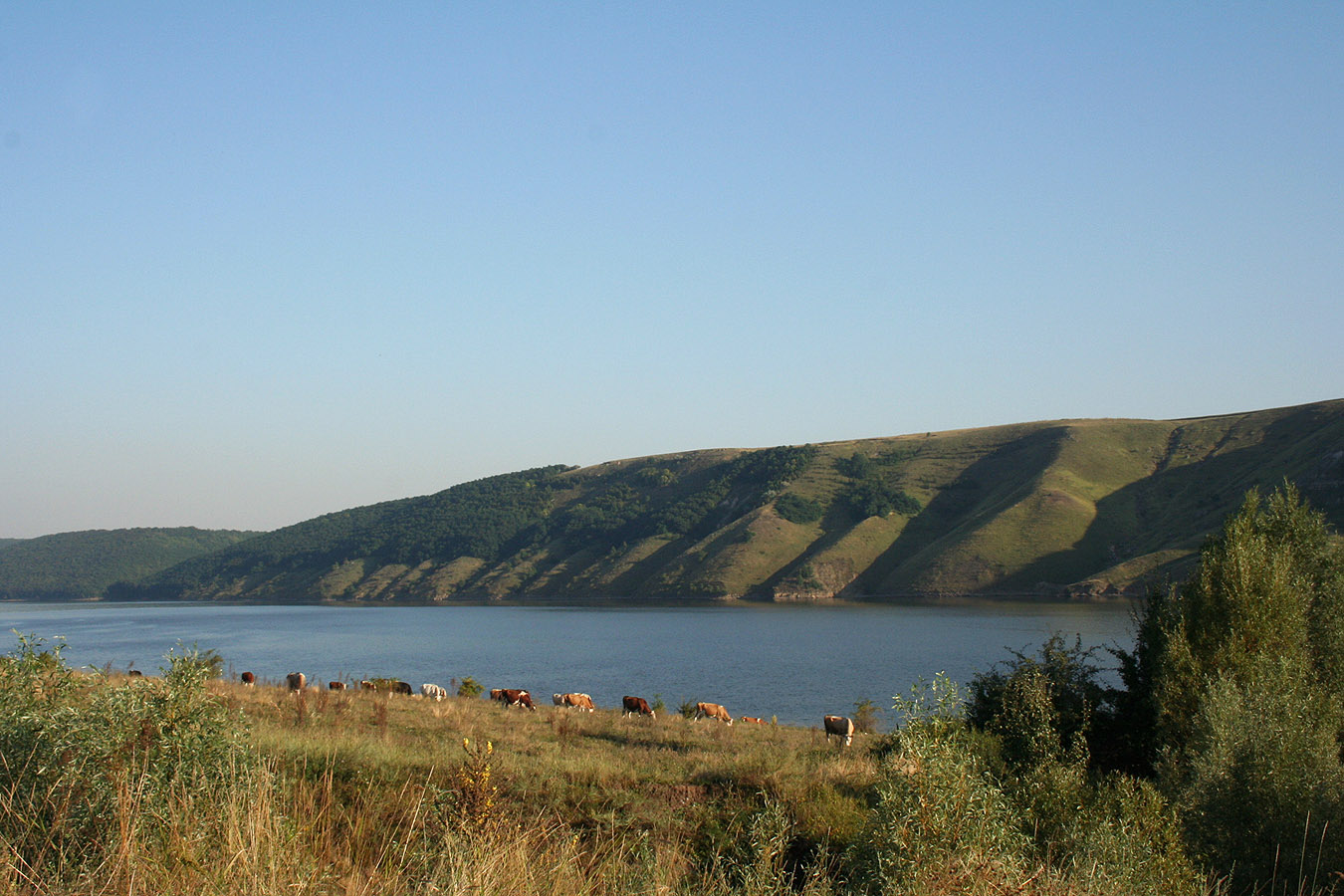 Бакотский залив, image of landscape/habitat.