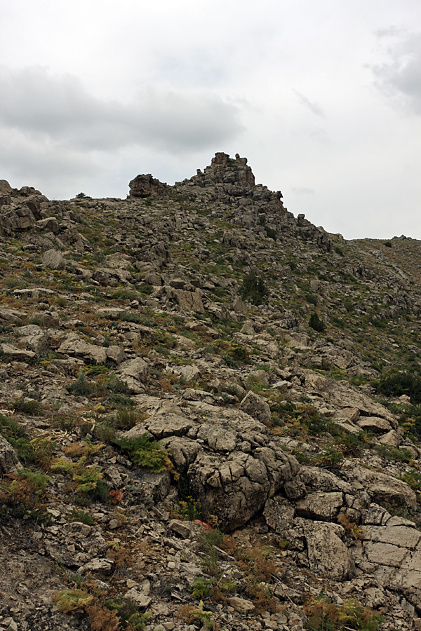 Гора Нурбай, image of landscape/habitat.