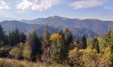 Image of landscape