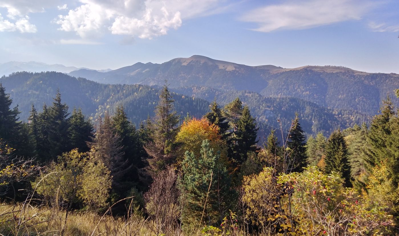 Нац. парк "Боржоми-Харагаули", image of landscape/habitat.