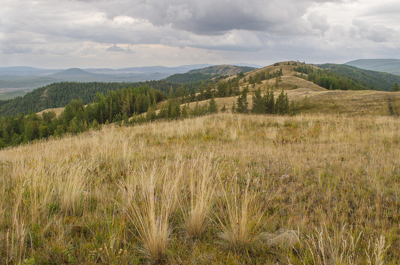 Окрестности деревни Мулдашево, image of landscape/habitat.