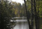 Image of landscape