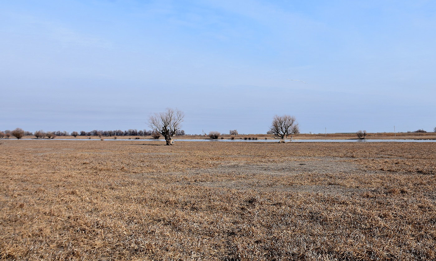 Вершина дельты Волги, image of landscape/habitat.