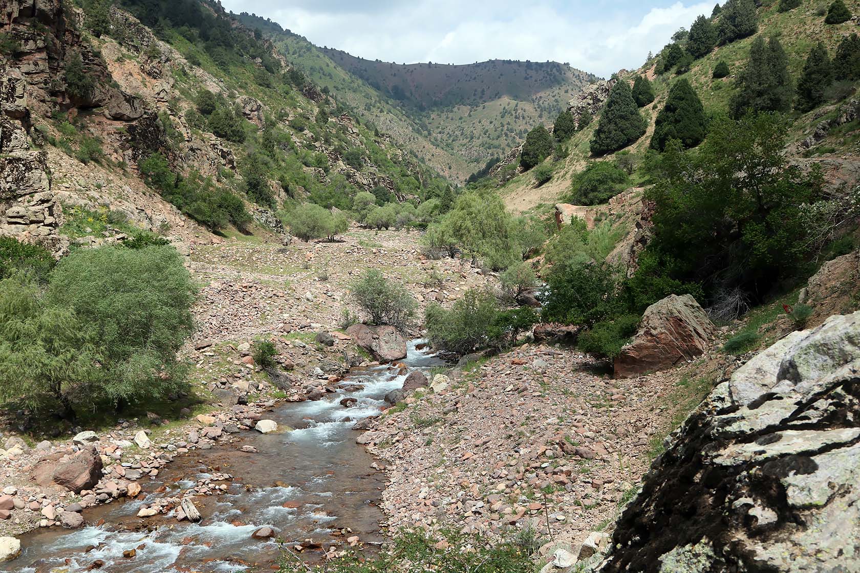 Окрестности города Янгиабад, image of landscape/habitat.