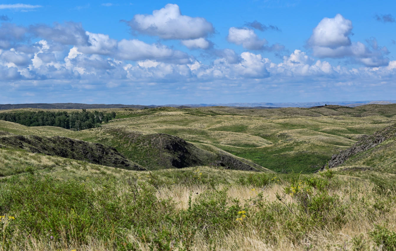 Губерлинские горы, image of landscape/habitat.