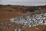 Image of landscape