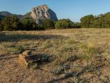 Image of landscape