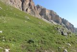 Image of landscape