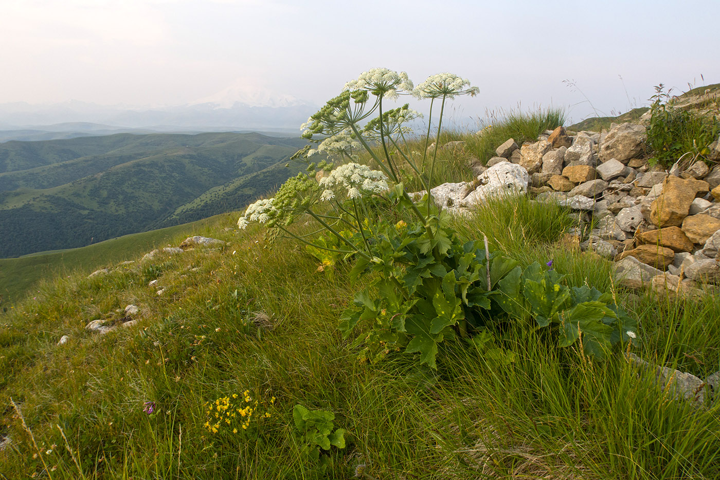 Малый Бермамыт, image of landscape/habitat.