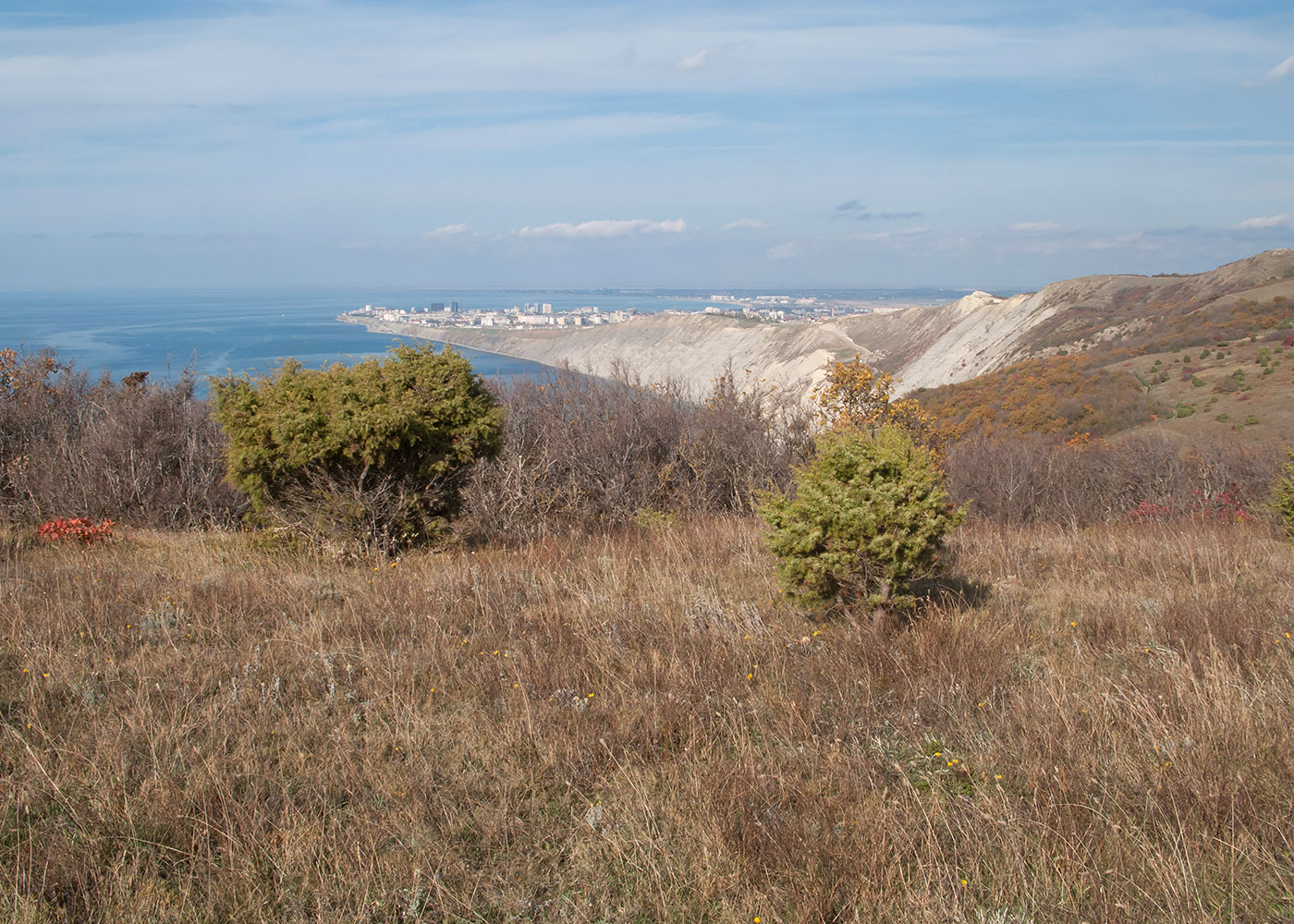 Приморские склоны у Варваровки, image of landscape/habitat.