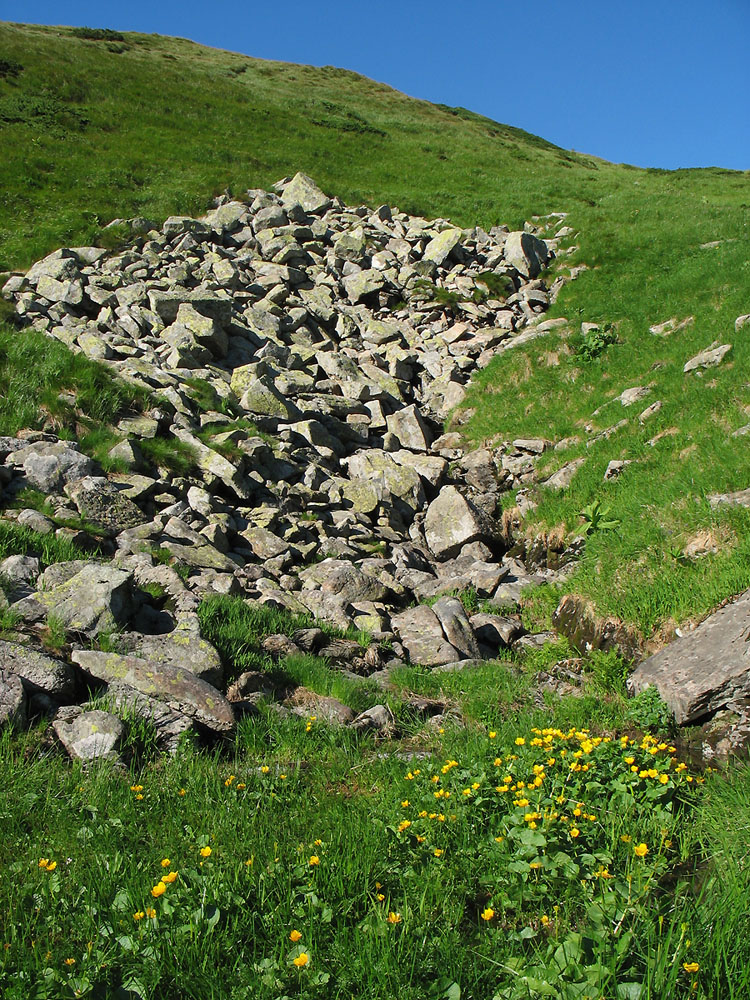 Высокогорья Черногоры, image of landscape/habitat.